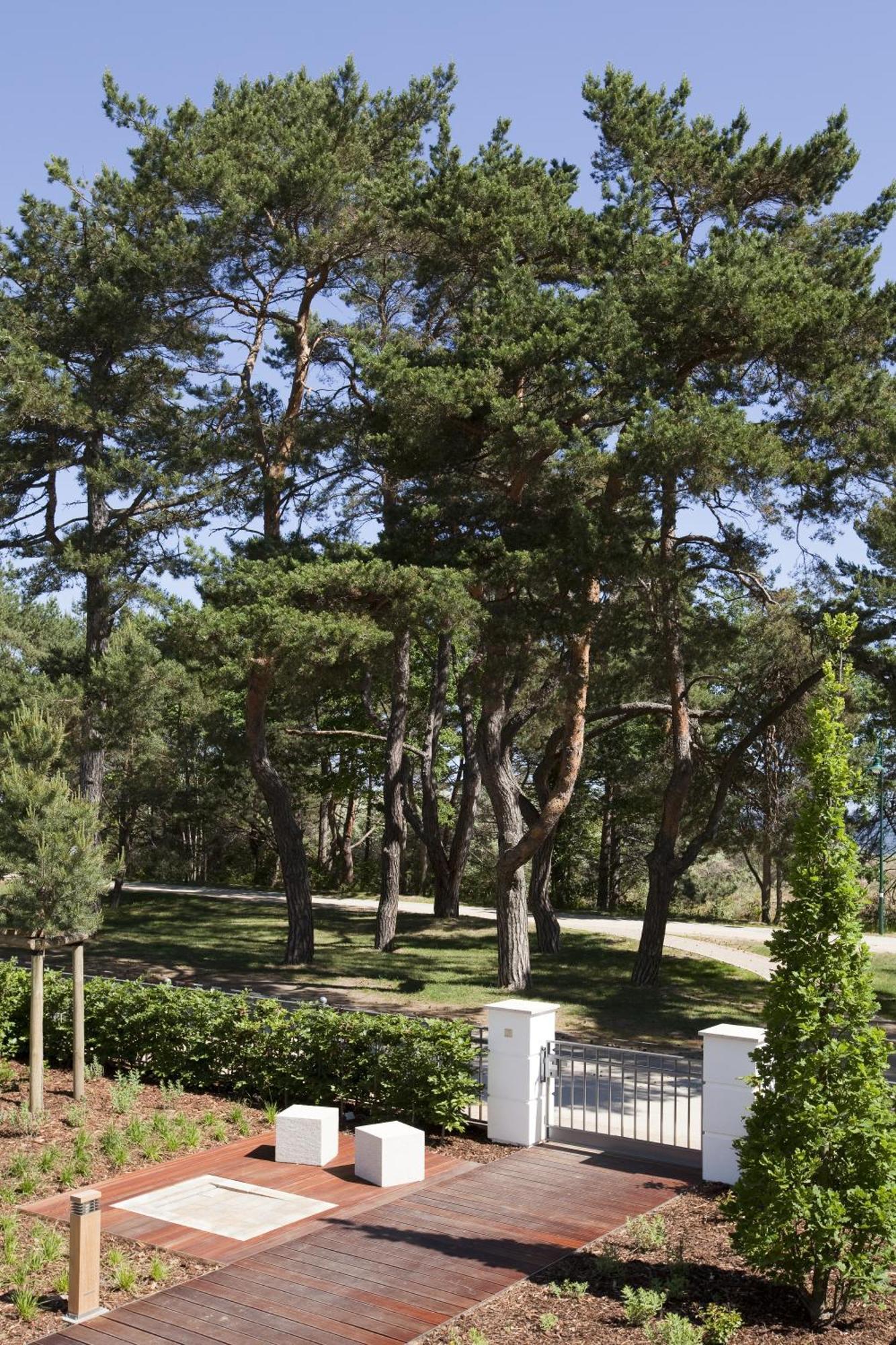 Steigenberger Grandhotel & Spa Heringsdorf Ngoại thất bức ảnh Pines in the park